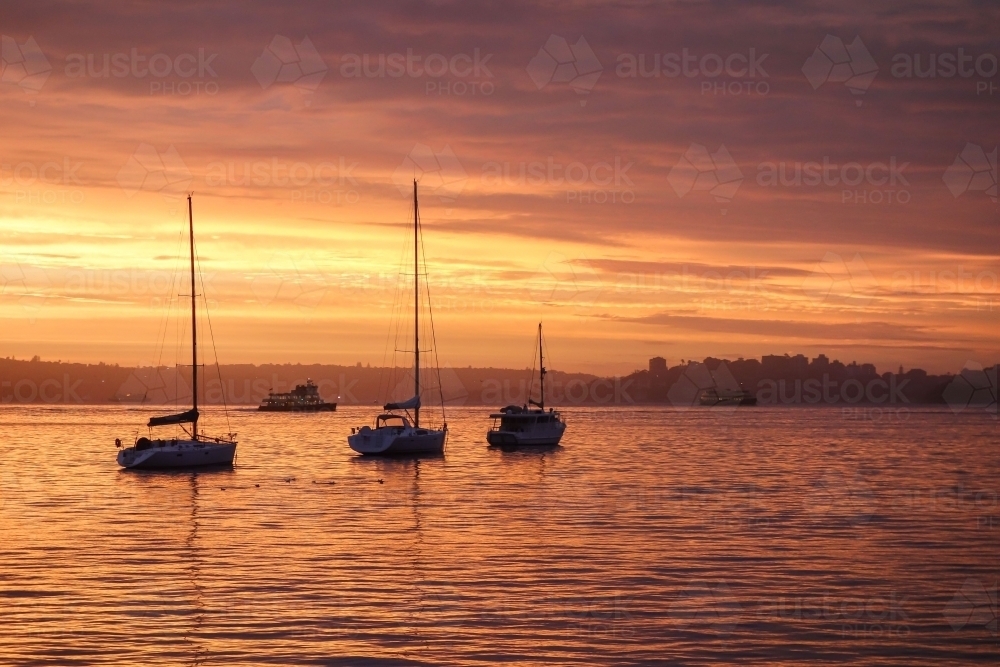 Sunrise across harbour - Australian Stock Image