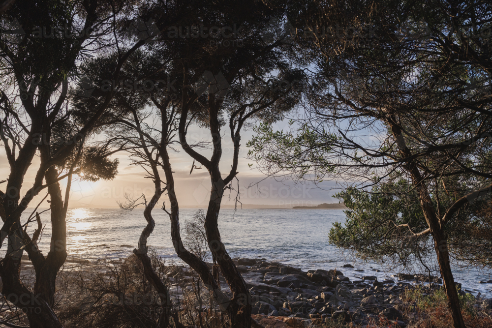 Sunrise across the ocean at Greens beach : Austockphoto Sunrise across the ocean at Greens beach - Australian Stock Image