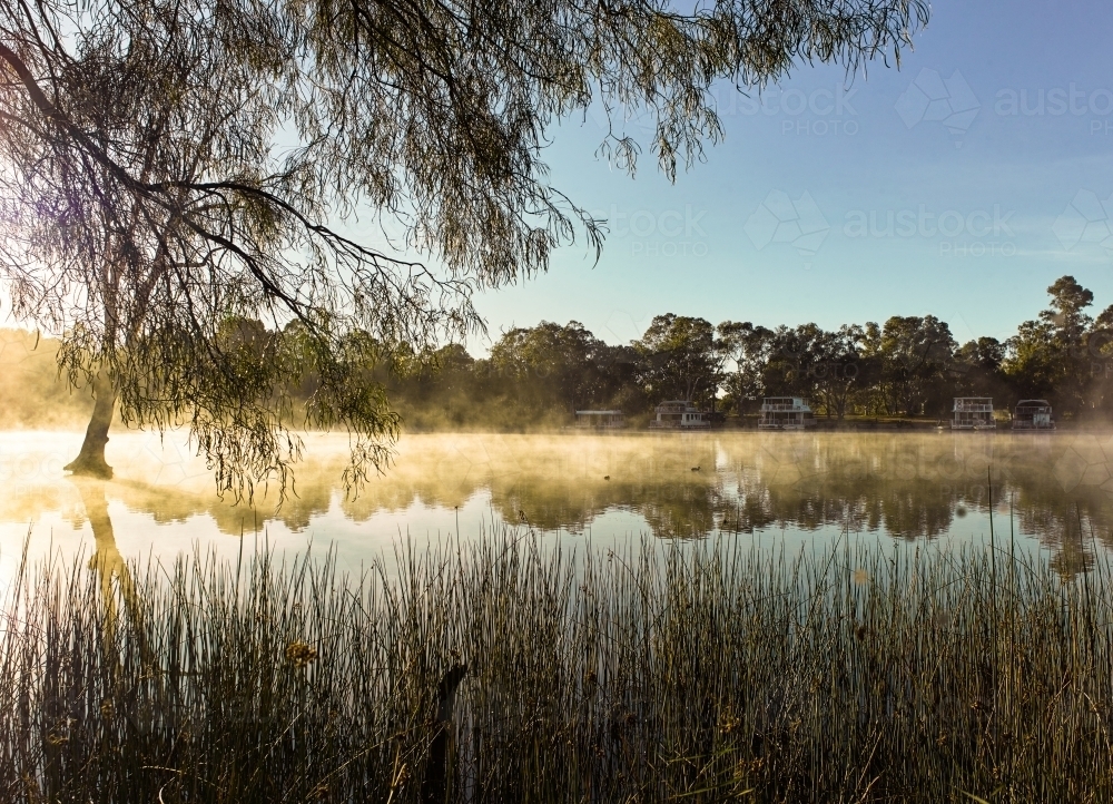 Sunrise and mist on a river in the country - Australian Stock Image
