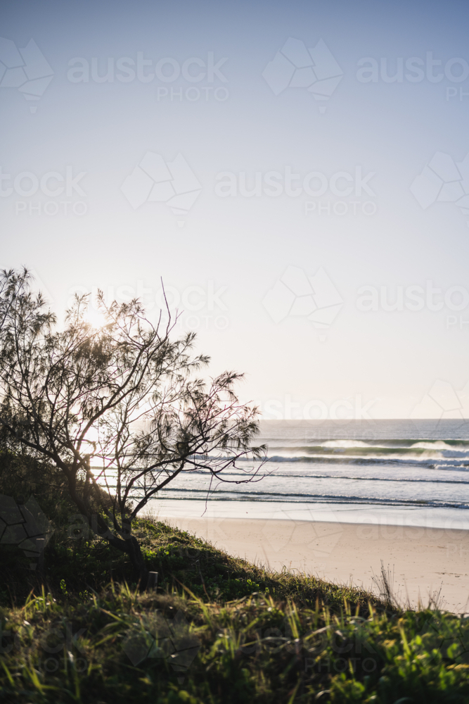 sunrise at pippi beach : Austockphoto sunrise at pippi beach - Australian Stock Image