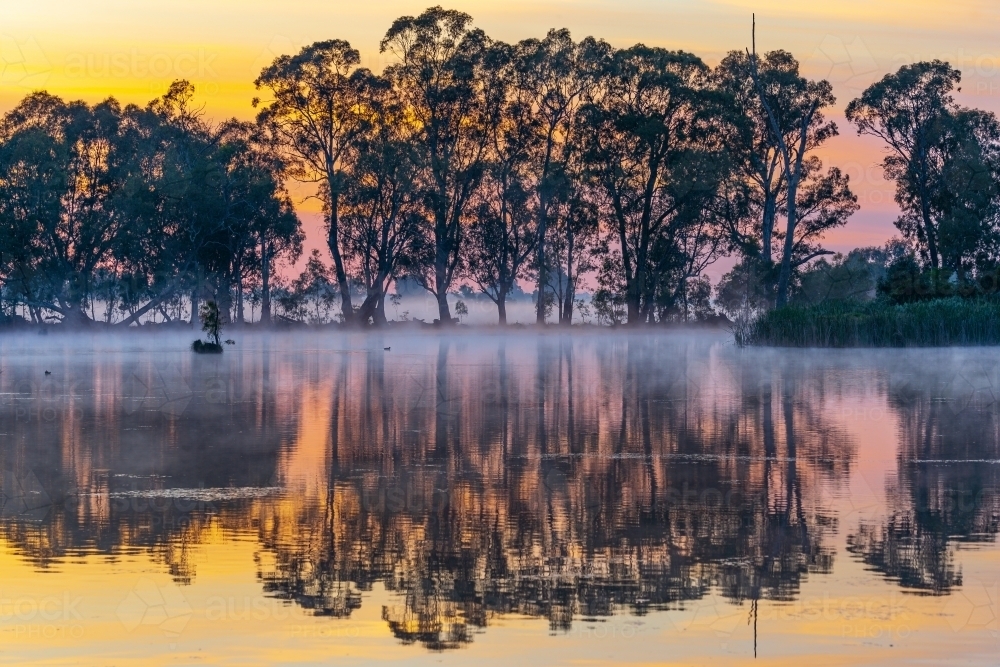 Sunrise behind gumtrees lining a riverbank with a light for rising off the water - Australian Stock Image