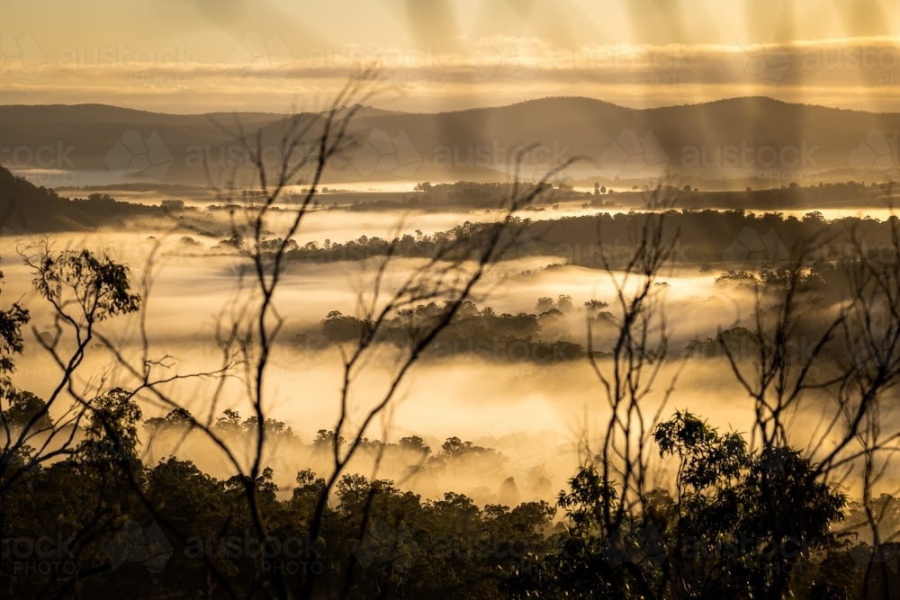 Sunrise fog near Mount Barney, Scenic Rim, Queensland Australia - Australian Stock Image