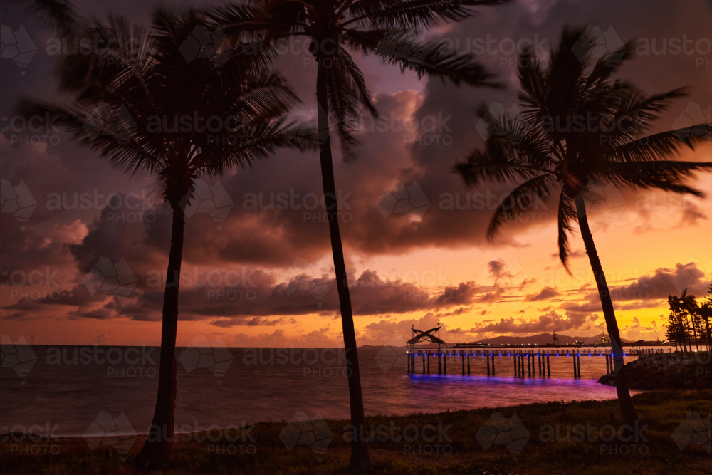 Sunrise on the Strand, Townsville with silhouetted palms - Australian Stock Image
