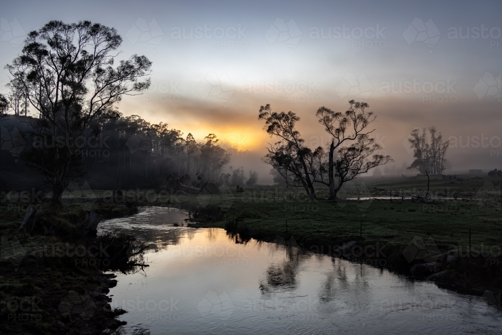 Sunrise over a stream on a foggy morning with gum trees - Australian Stock Image
