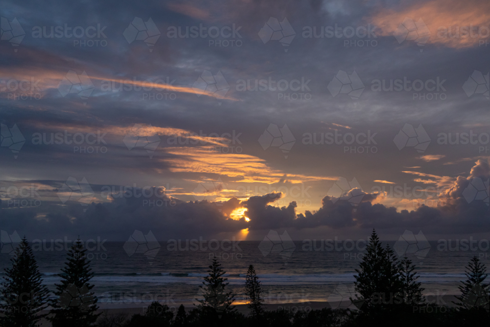 Sunrise over ocean with pine trees - Australian Stock Image