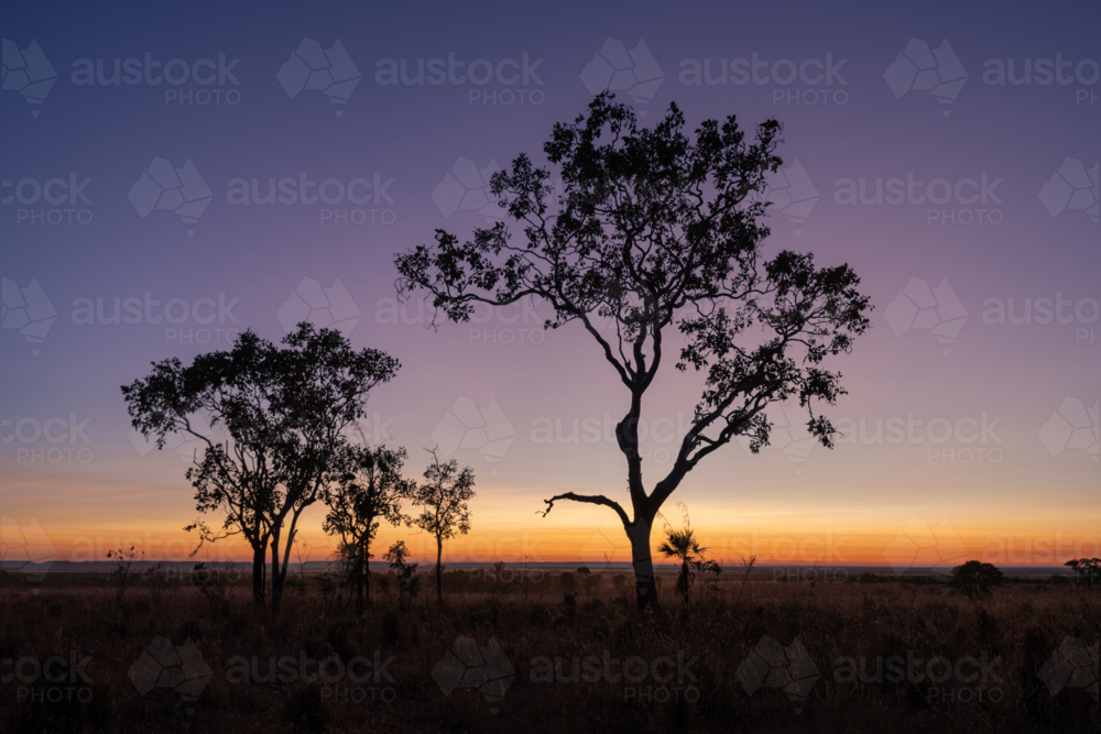 Sunrise over the remote NT landscape - Australian Stock Image