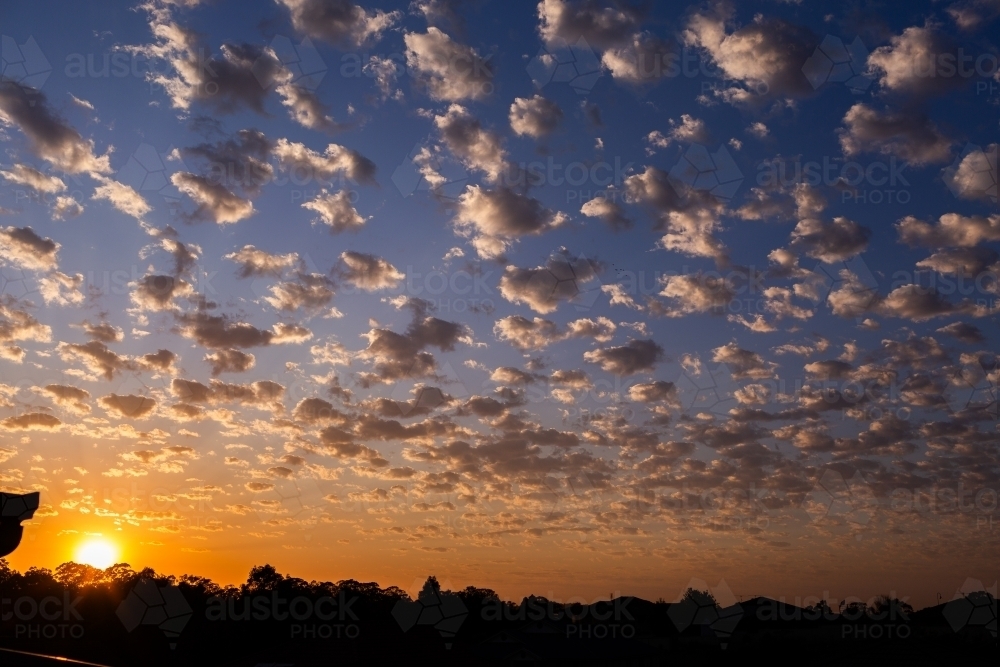 Sunrise sky with dotty clouds and silhouetted trees on skyline - Australian Stock Image