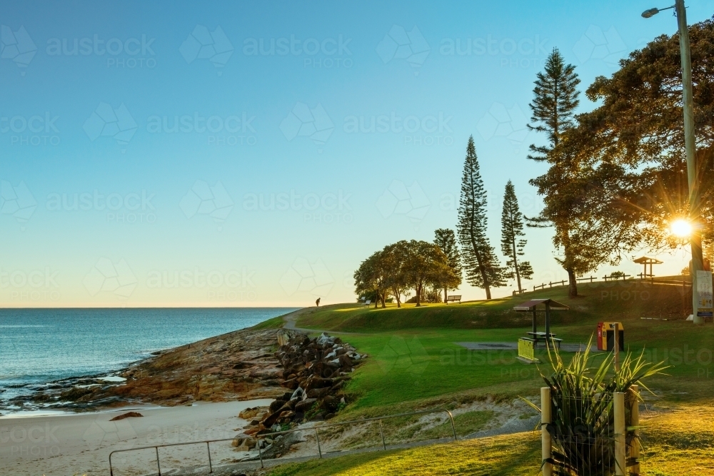 Sunrise through the pine trees by the sea - Australian Stock Image