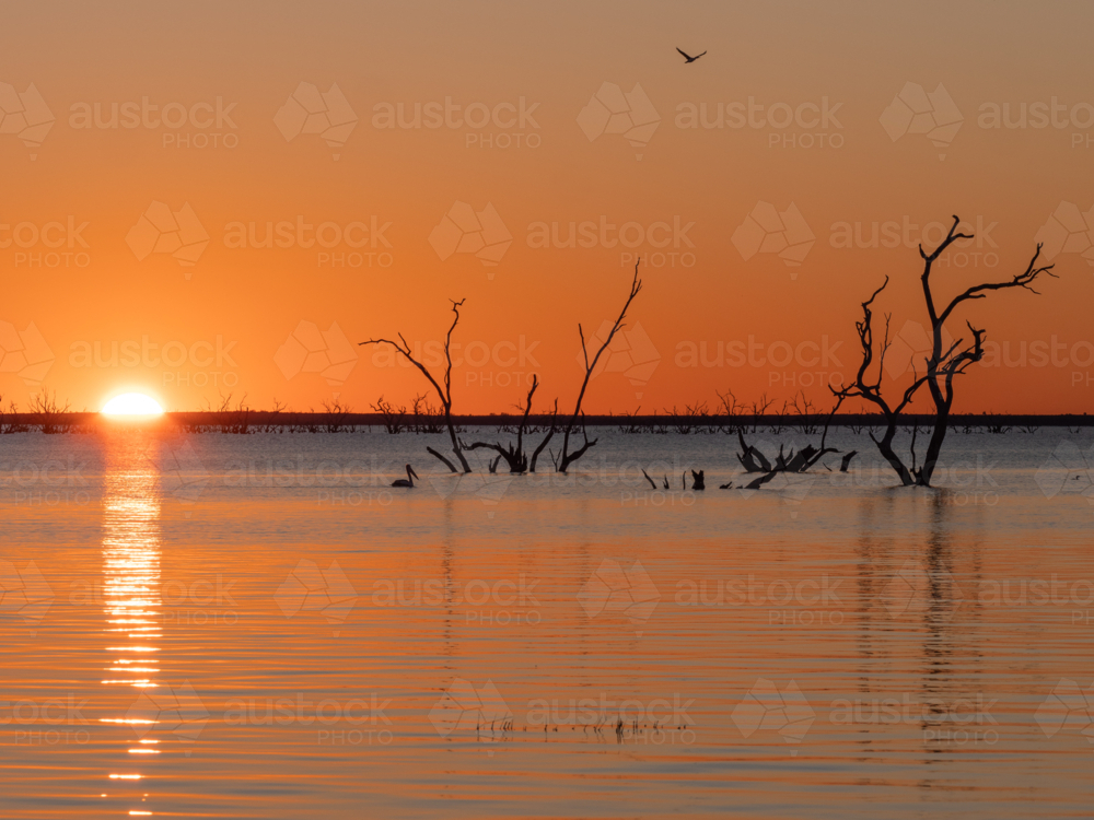 Sunset at Lake Pamamaroo, part of the Menindee Lake system - Australian Stock Image
