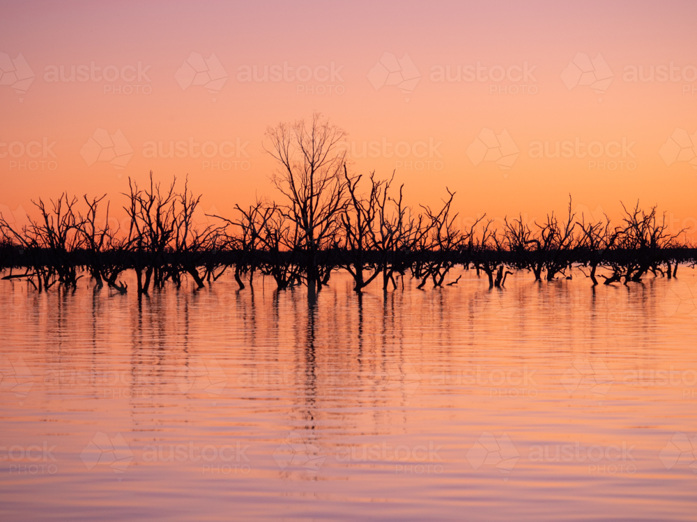 Sunset at Lake Pamamaroo, part of the Menindee Lake system - Australian Stock Image