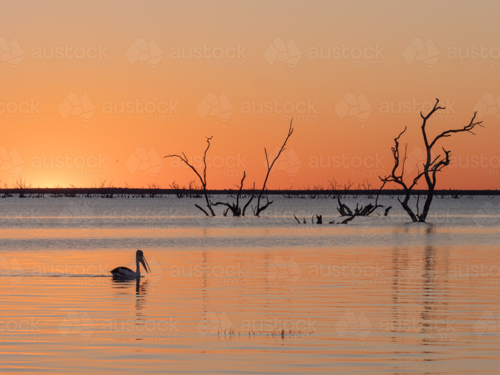 Sunset at Lake Pamamaroo, part of the Menindee Lakes system - Australian Stock Image