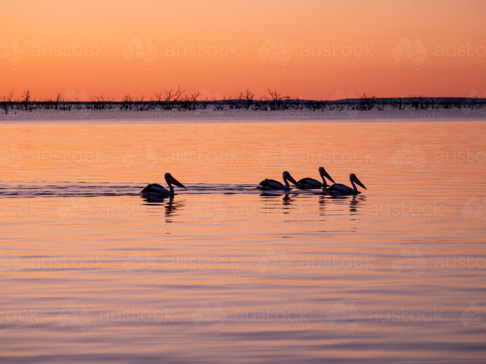 Sunset at Lake Pamamaroo, part of the Menindee Lakes system - Australian Stock Image