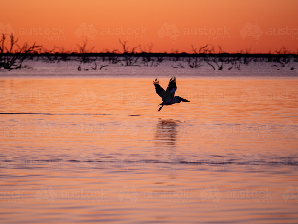 Sunset at Lake Pamamaroo, part of the Menindee Lakes system - Australian Stock Image