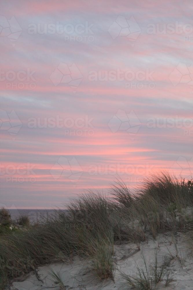 Sunset at the beach with long grass - Australian Stock Image