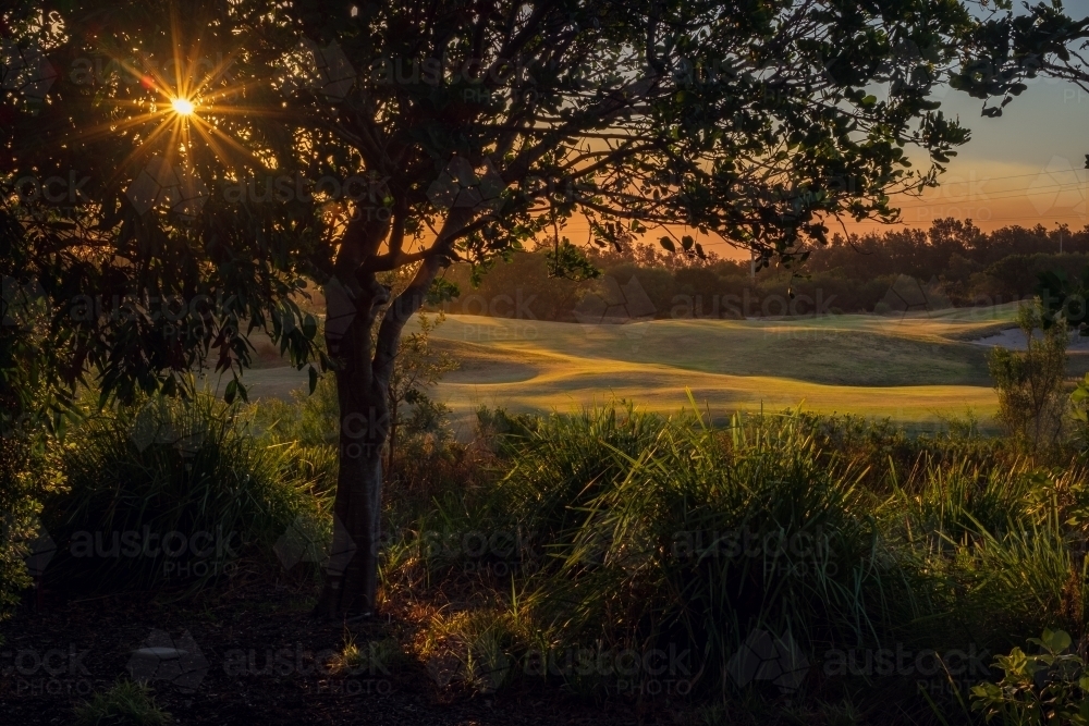 Sunset at the Central Coast - Australian Stock Image