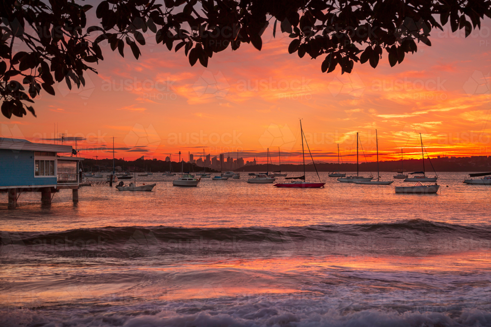 Sunset at Watsons Bay - Australian Stock Image