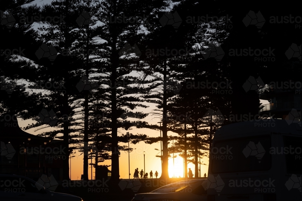Sunset casting a warm glow and creating silhouettes of people and trees in coastal area - Australian Stock Image
