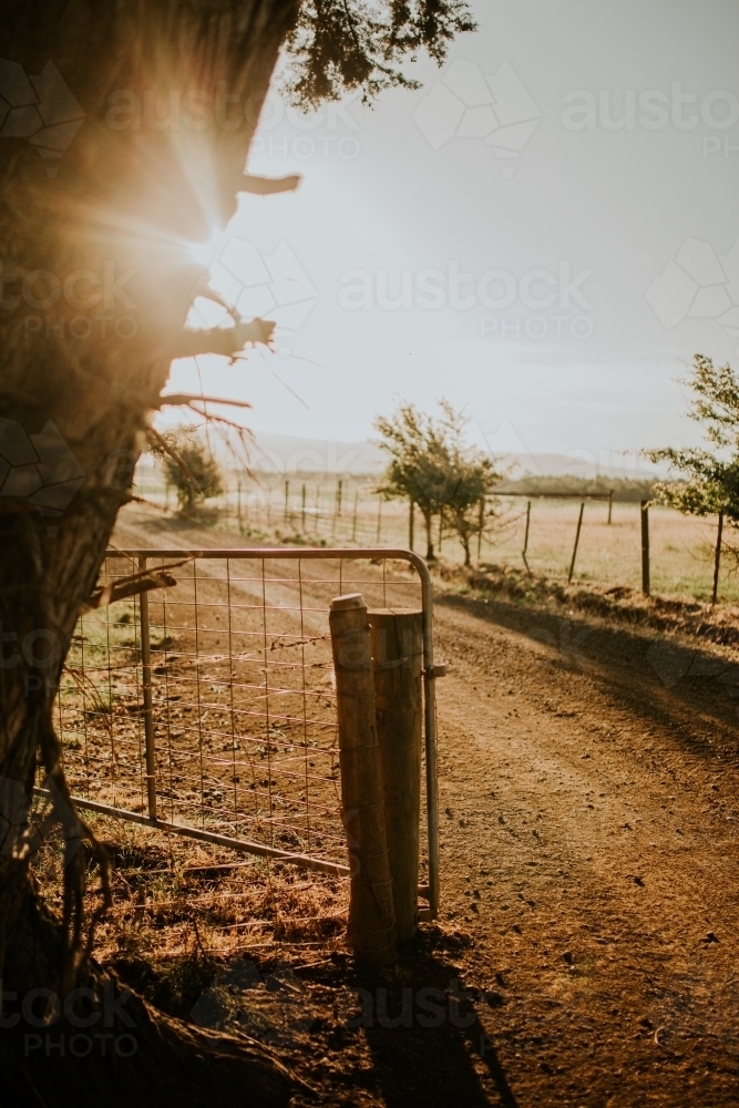 Sunset farm gate - Australian Stock Image