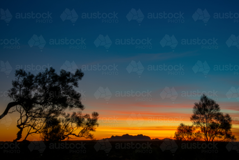 Sunset in Central Australia with silhouetted trees - Australian Stock Image