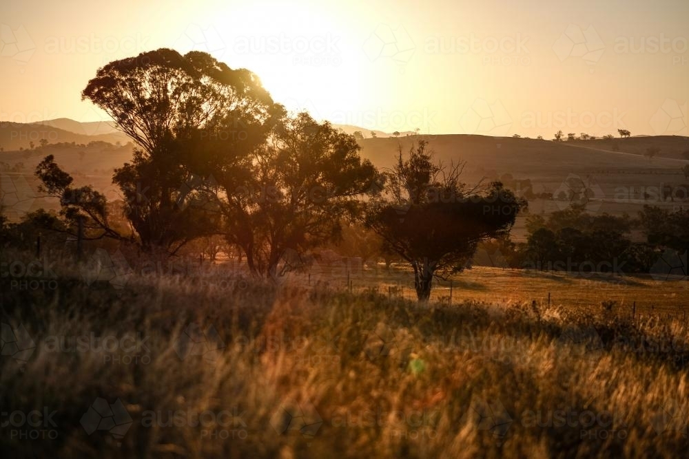 Sunset in outback Australia - Australian Stock Image