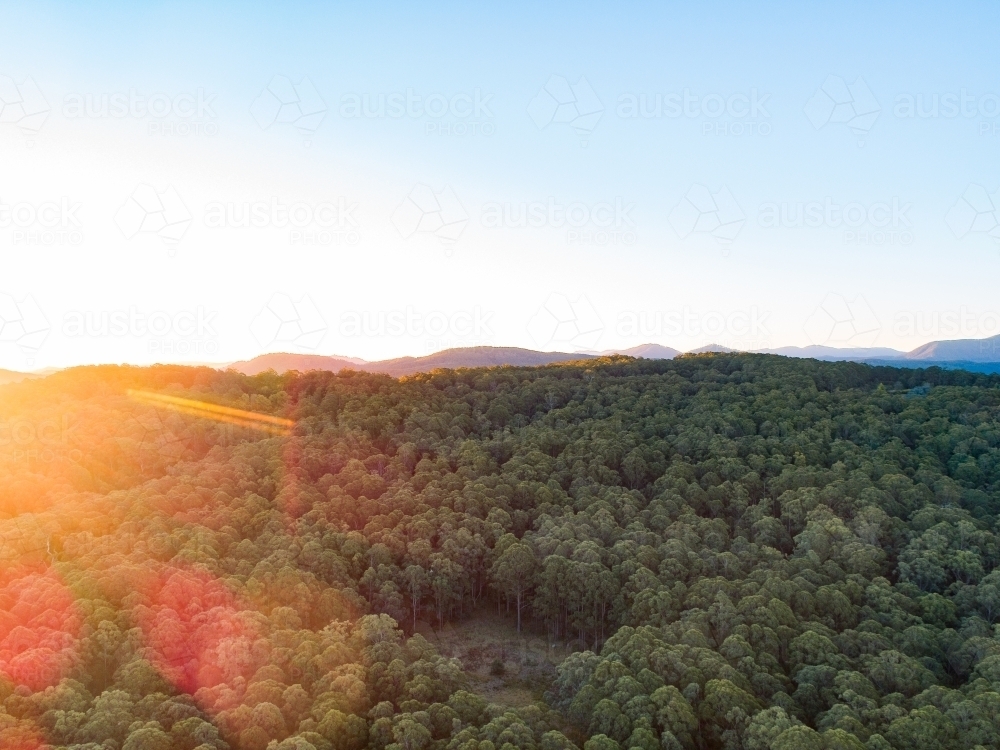 Sunset light over mountains covered in trees - Australian Stock Image