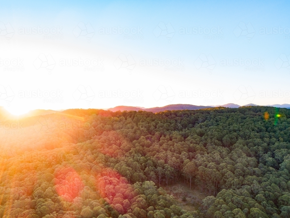Sunset light over mountains covered in trees - Australian Stock Image