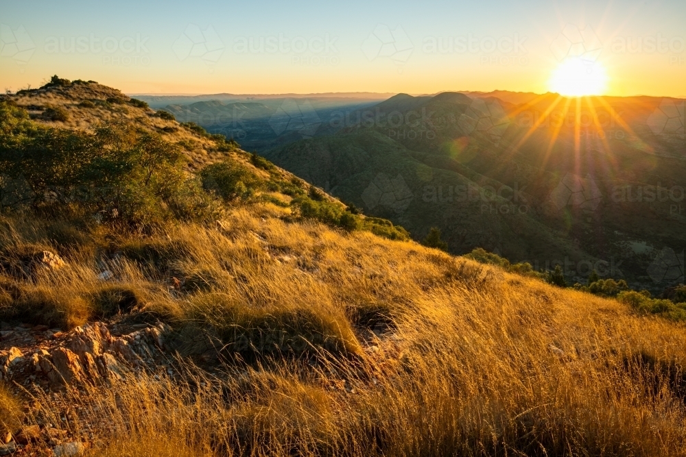 Sunset looking over golden coloured grasses from a high vantage point in the West MacDonnell Ranges, - Australian Stock Image