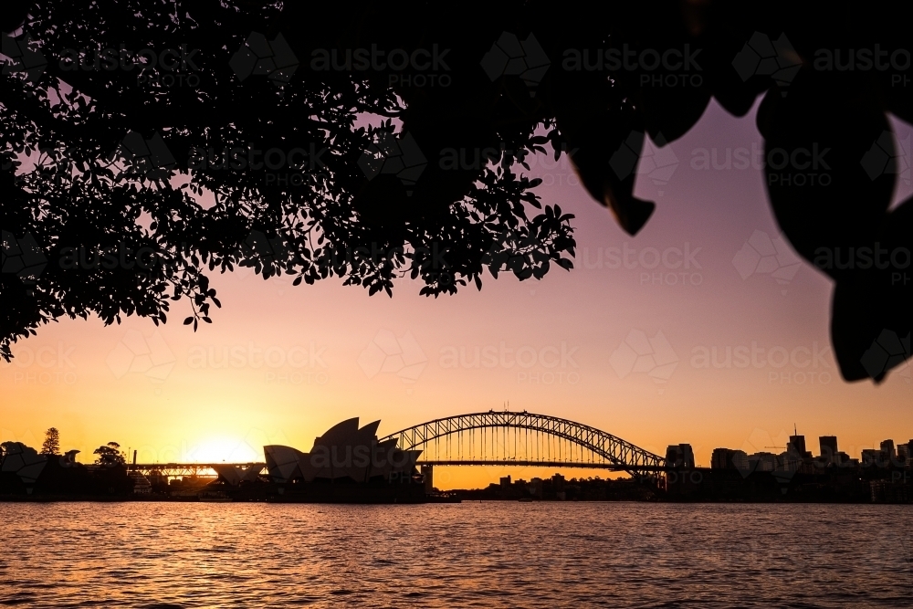 Sunset of Sydney Skyline at Mrs Macquarie's Chair - Australian Stock Image