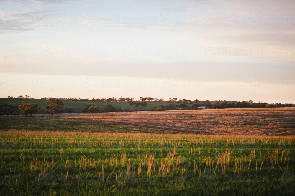 Sunset on a farming landscape in the Avon Valley in Western Australia - Australian Stock Image