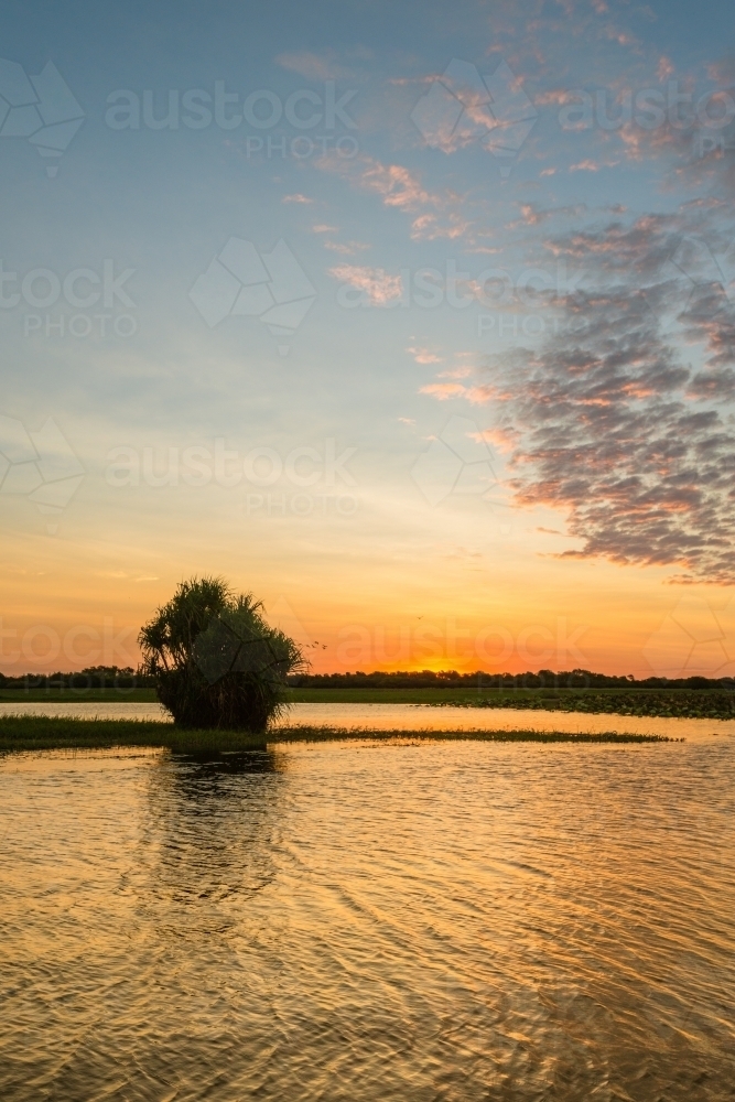 sunset on a wetland in Australia - Australian Stock Image