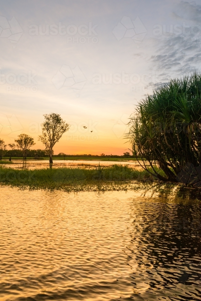 Sunset on a wetland in the Northern Territory - Australian Stock Image