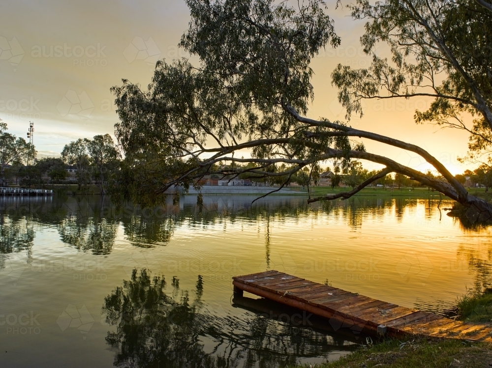 Sunset on river with gum tree and jetty in foreground - Australian Stock Image