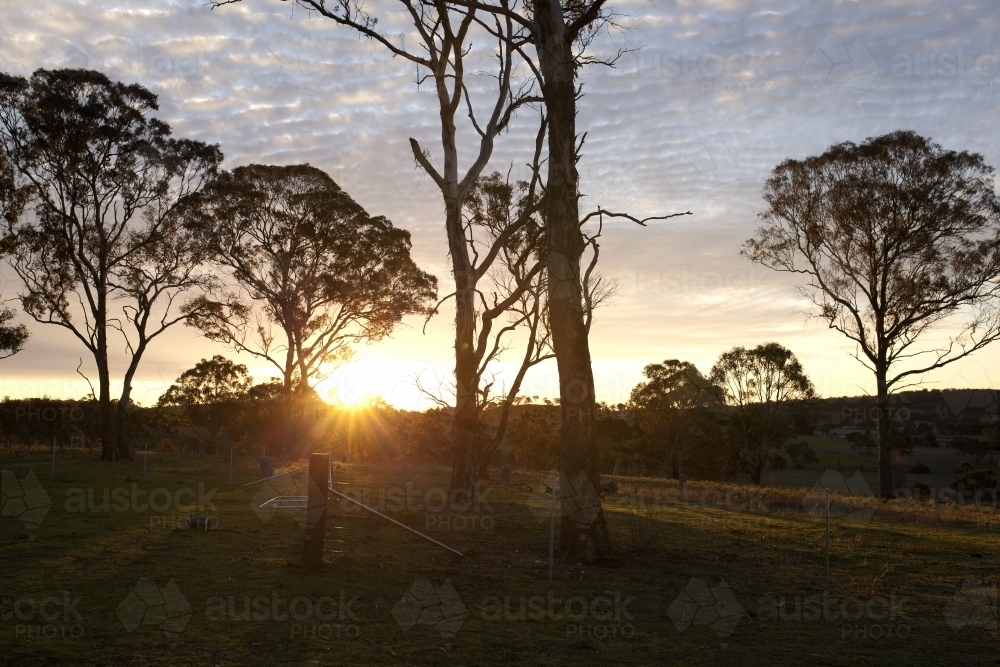 Sunset on rural farm - Australian Stock Image