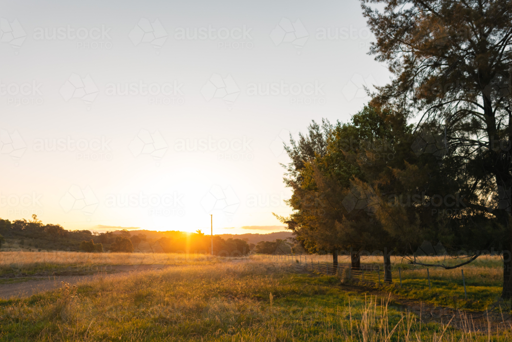 Image of Sunset on rural New South Wales farm - Austockphoto
