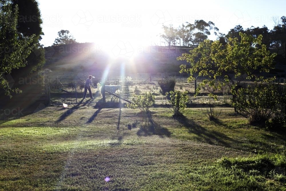 Sunset on the farm - Australian Stock Image
