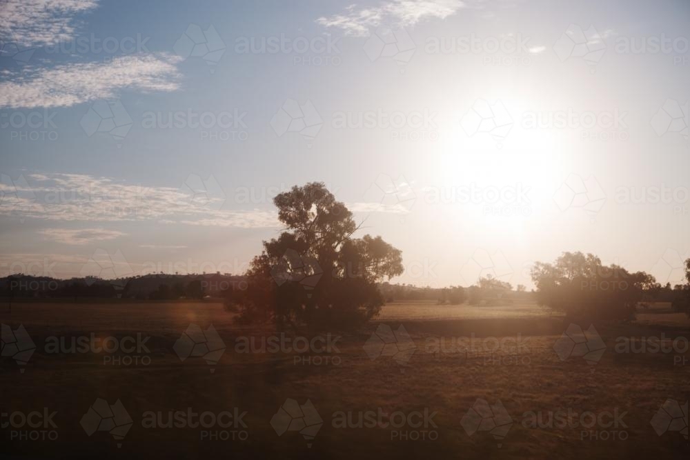 Sunset on the road in country setting - Australian Stock Image