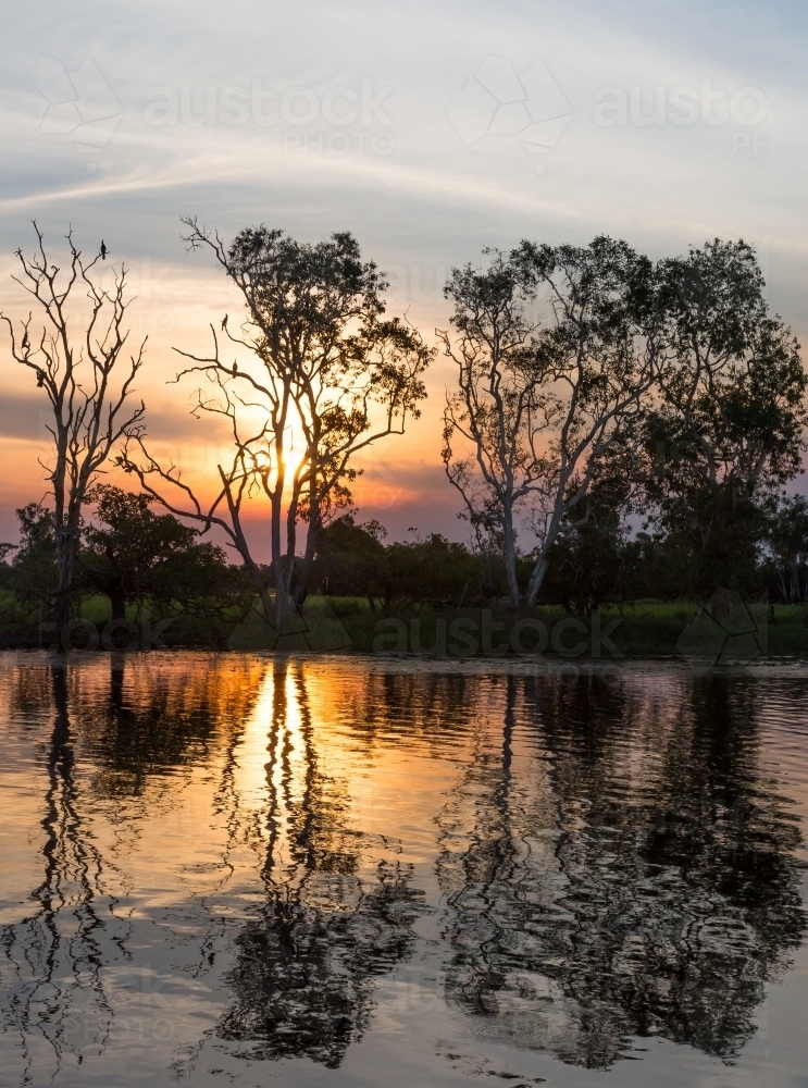 sunset on yellow water, kakadu - Australian Stock Image