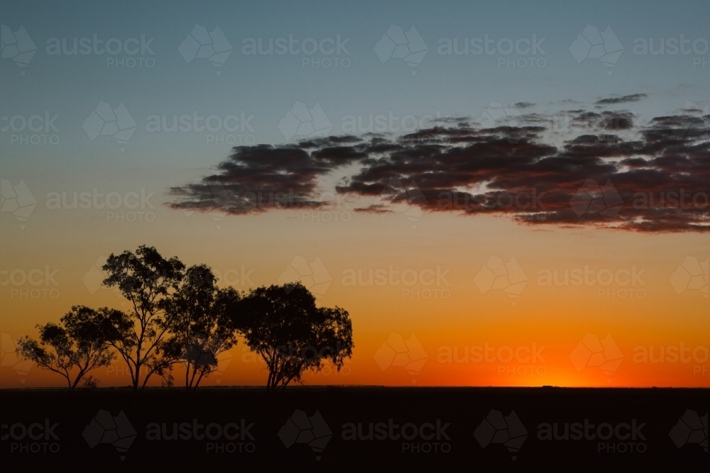 Sunset over Eucalyptus trees and a typical beautiful rural Australian landscape - Australian Stock Image