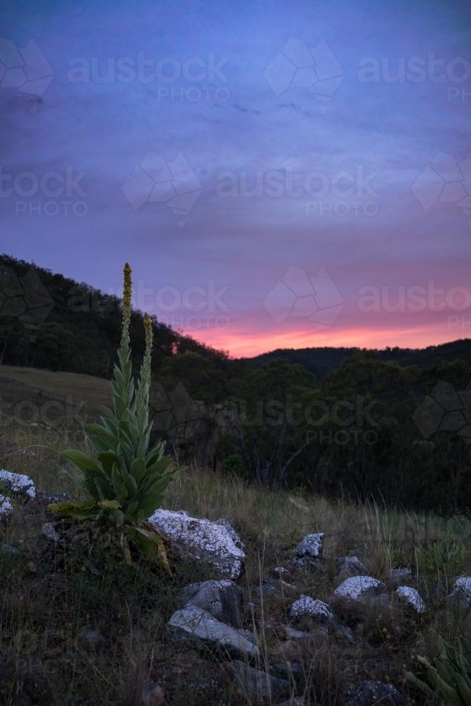 Sunset over farms in Capertee - Australian Stock Image