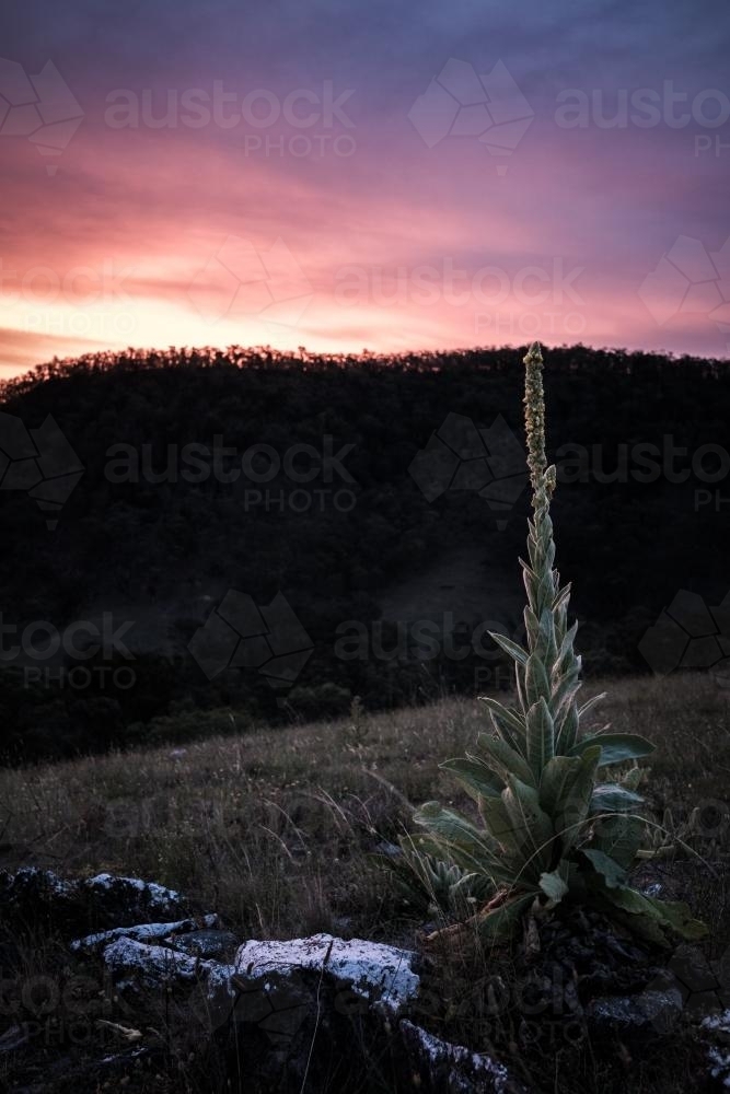 Sunset over farms in Capertee - Australian Stock Image