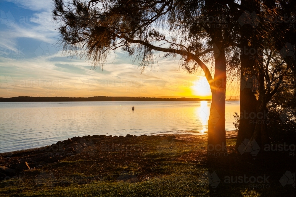 Sunset over lake with silhouetted trees beside peaceful water - Australian Stock Image