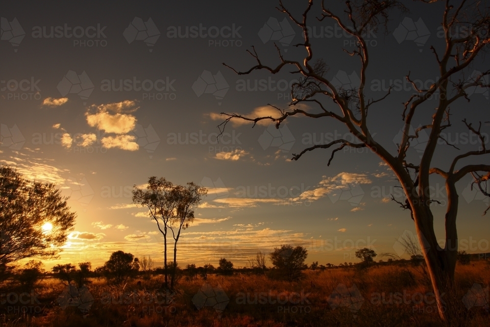 Sunset over paddock in remote Australia - Australian Stock Image