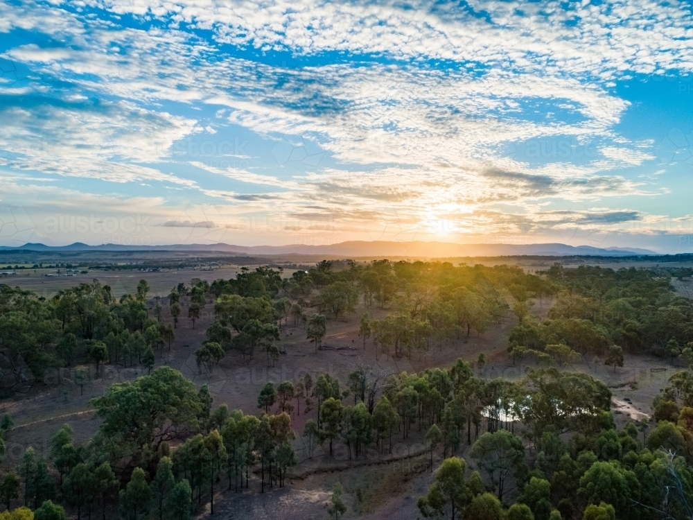 Sunset over paddock of trees in Hunter Valley - Australian Stock Image