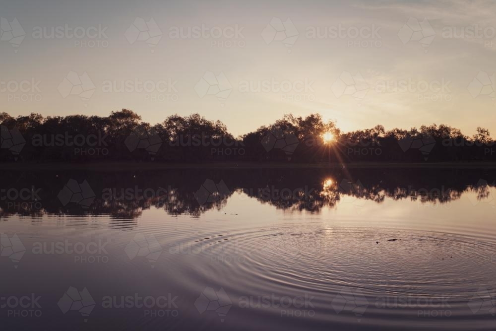 Sunset over the creek with silhouettes of trees, in muted tones - Australian Stock Image