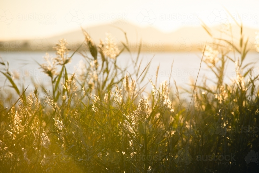 Sunset over the You Yangs - Australian Stock Image