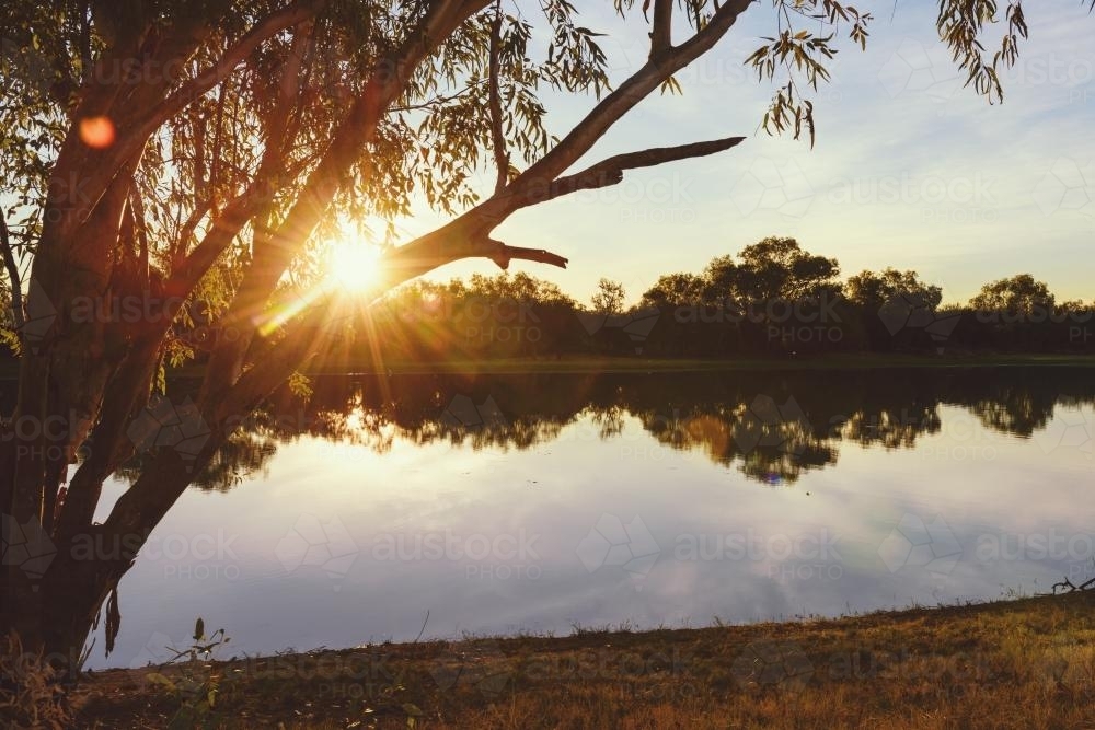 Sunset over water with flare through gum trees, in muted tones - Australian Stock Image