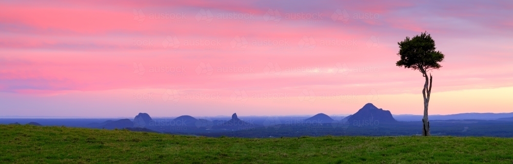 Sunset panorama of One Tree Hill and the Glasshouse Mountains. - Australian Stock Image