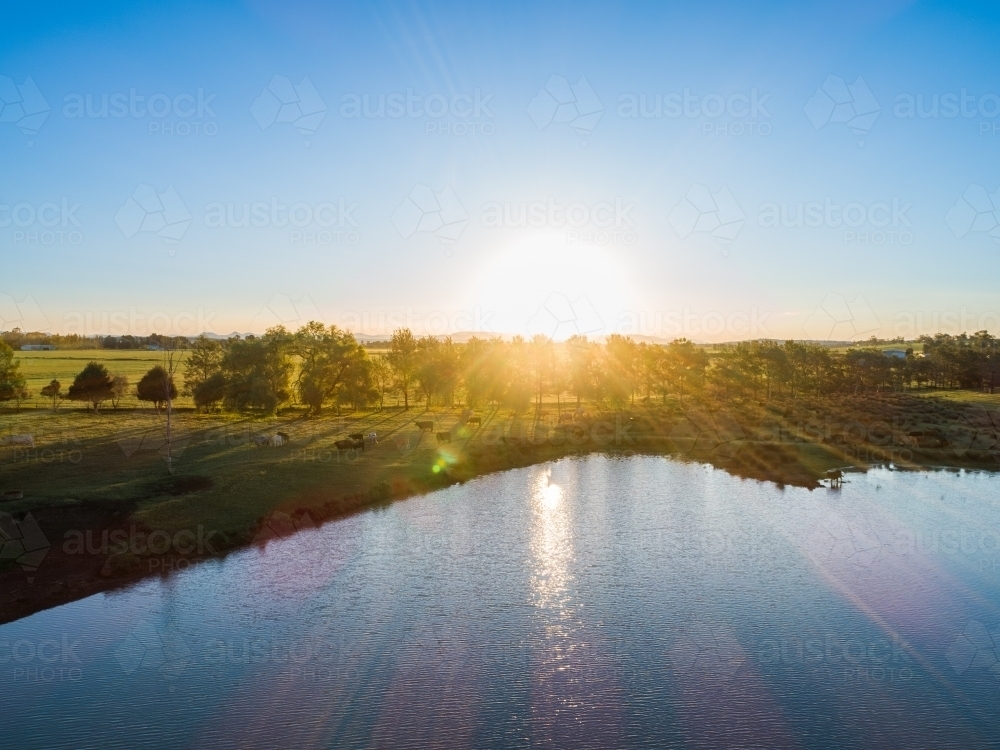 Sunset rays over water of farm dam with cattle in paddock - Australian Stock Image