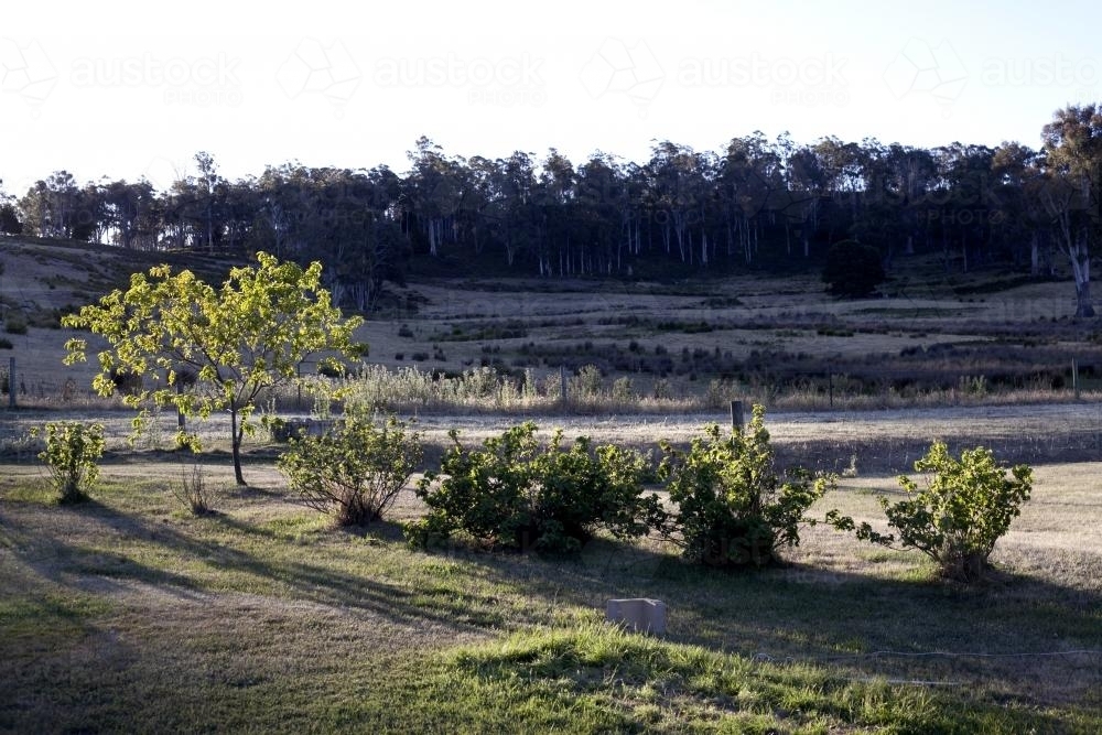Sunset shadows in rural setting - Australian Stock Image