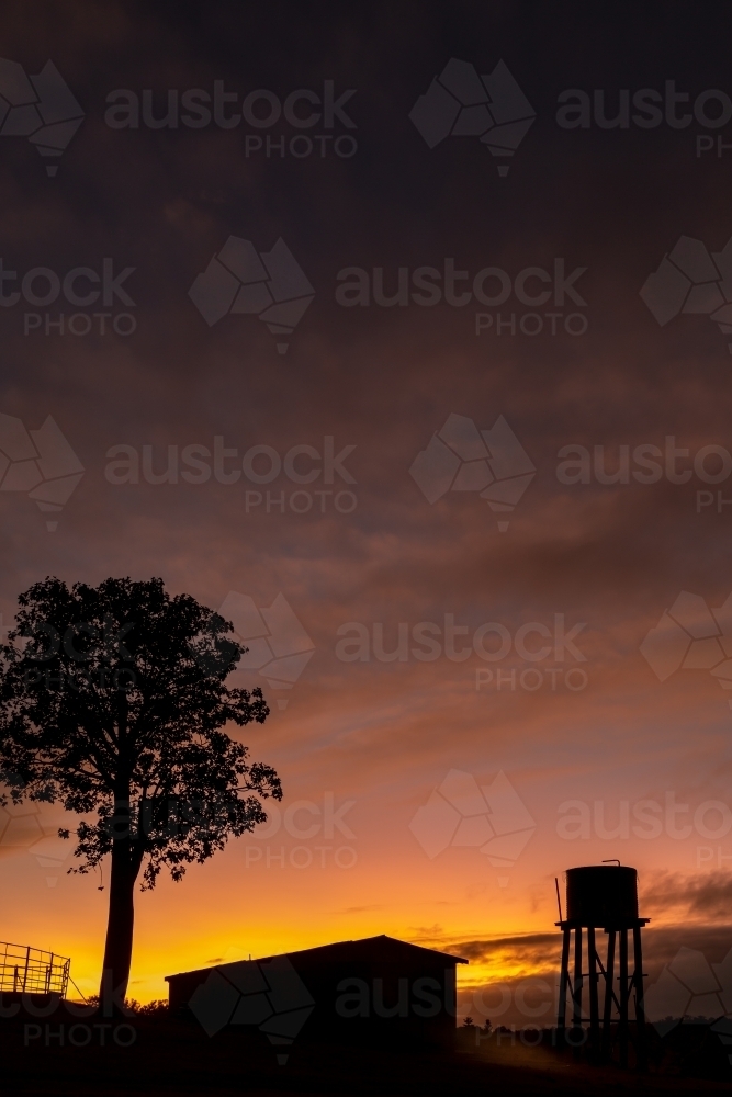Sunset silhouette of a farm shed, water tank tower, tree, and cattle yards. - Australian Stock Image